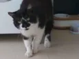 Tony