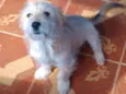 Jully