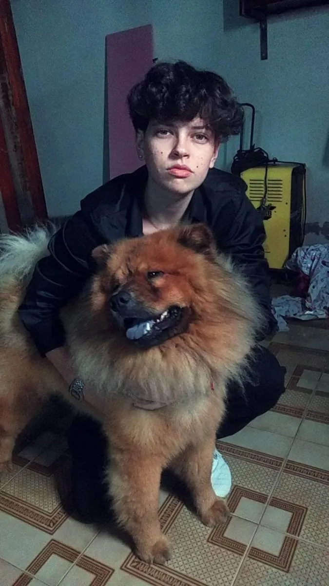 Cachorro raça Chow chow idade 4 anos nome Jackie