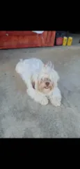 Mel