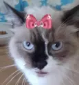 Nina 