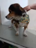 Luno