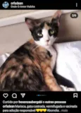 Marisca