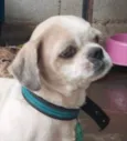 Billy 