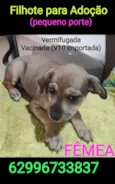 Babi/Tina