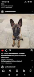 Boris