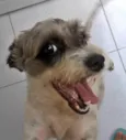 Juli