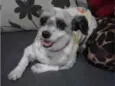 Juli