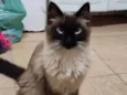 Nina