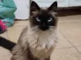 Nina