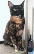 Meg