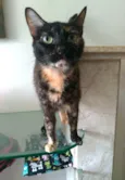 Meg