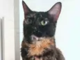 Meg