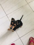 Esther