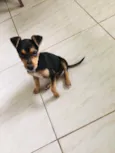 Esther