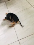 Esther
