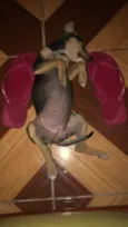 Esther