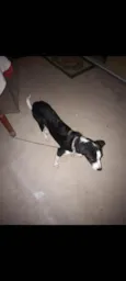 Zoe