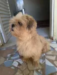 Bob