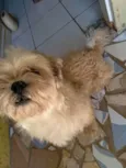 Bob