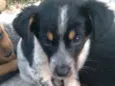 Não tem nome 