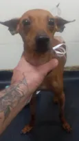 Barthô 