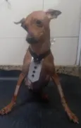 Barthô 