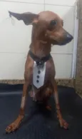 Barthô 