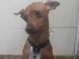 Barthô 