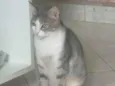 Amy