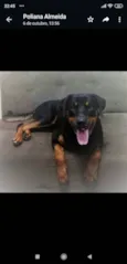 Zeus