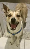 Bubu