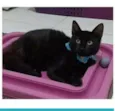 DALILA