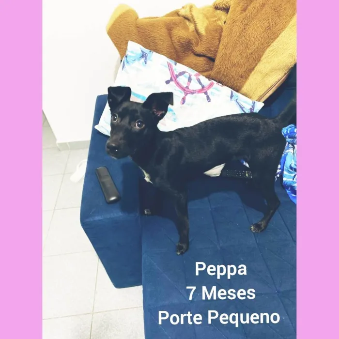 Peppa