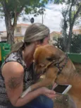 Cachorro raça Sem raça idade 7 a 11 meses nome Rubi
