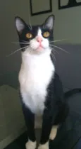 MARGÔ