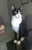 MARGÔ