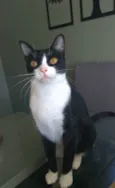 MARGÔ