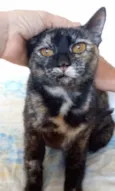 Luiza