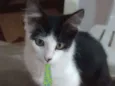 Nick 