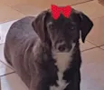 Esmeralda 