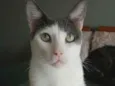 Jhon
