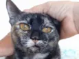 Luiza