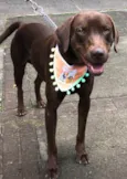 Chico