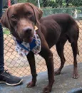 Chico