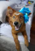Jully