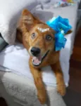 Jully