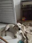Billy 