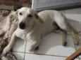 Billy 
