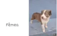 Não tenho nome ainda